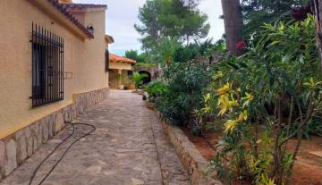 IMS-So2-Marquesa V-003.jpg